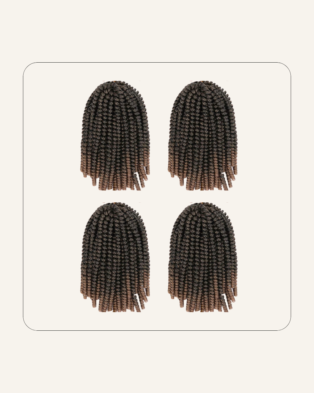 Passion Twist Braid Karim SalonandSpa