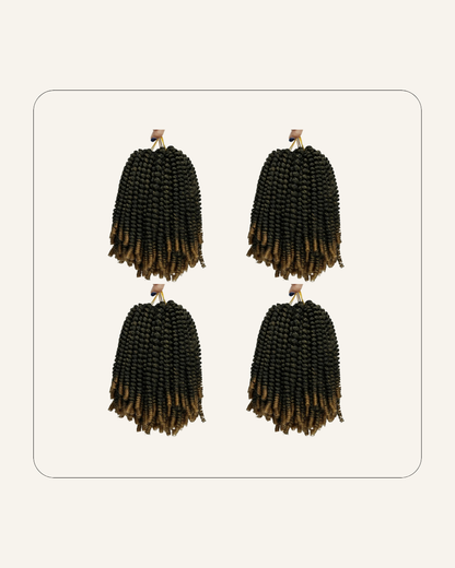Passion Twist Braid Karim SalonandSpa
