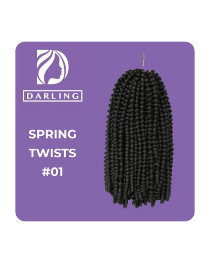 Spring Twist Braids Karim SalonandSpa